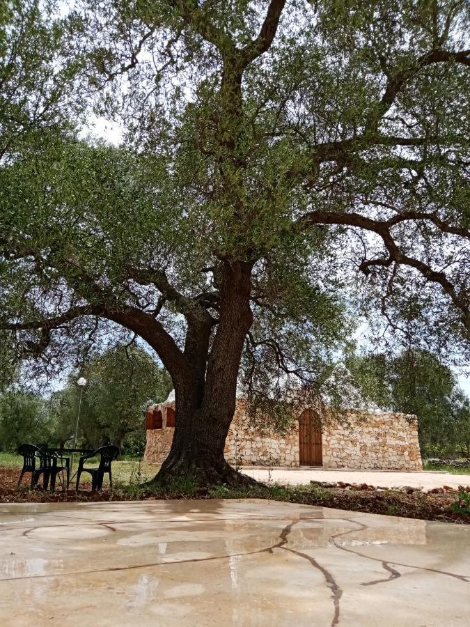 Villa Trulli Monte Madre San Vito dei Normanni Exterior foto